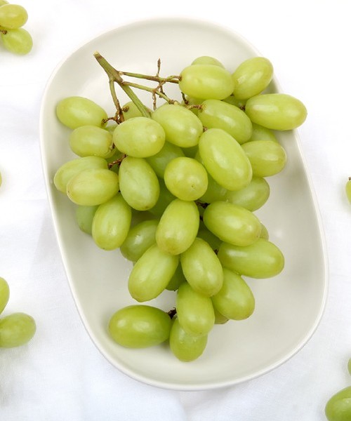 달콤한 씨없는 청포도 2kg
